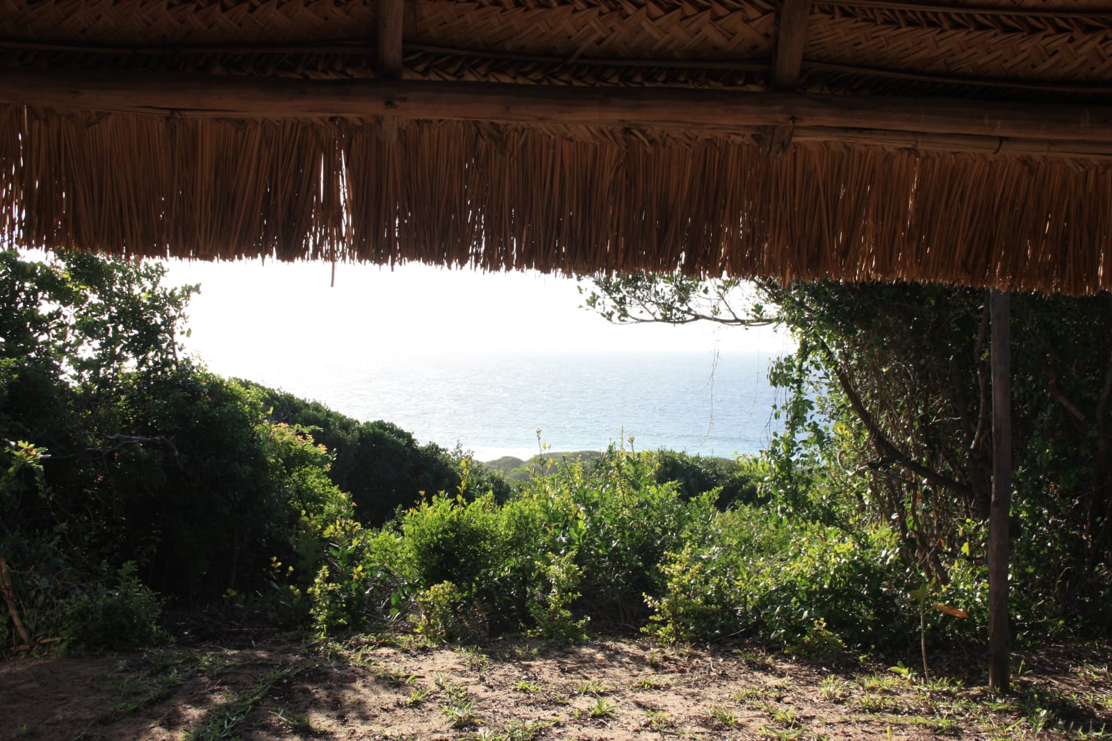 The sea view from the Cottage