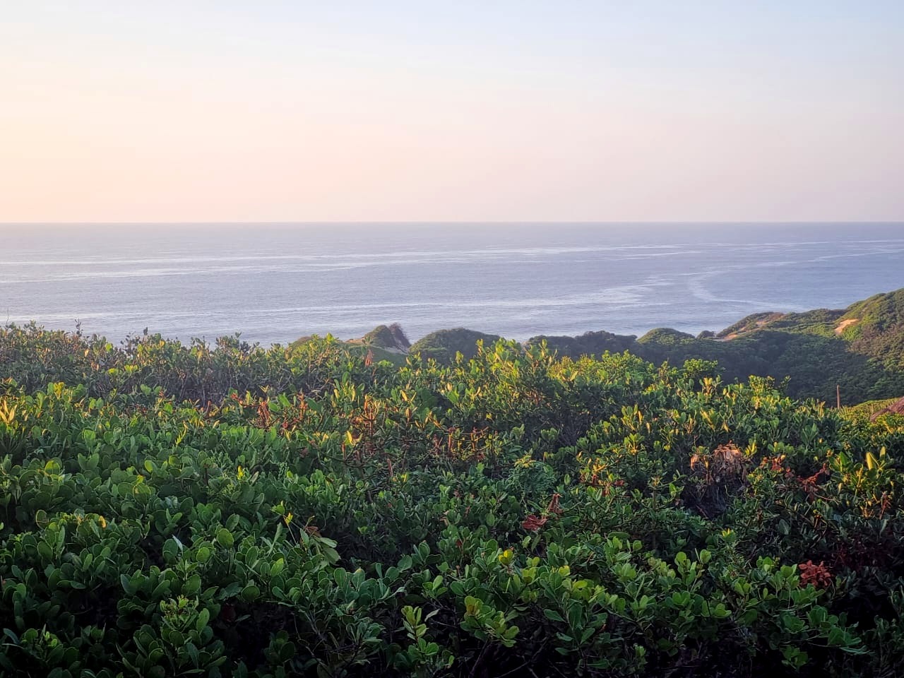 Calm sea over the coastal bush at Terra Bella